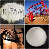 Agent de retenue de l'eau de CAS 25608 pour des produits chimiques de traitement de l'eau Polyacrylate absorbant superbe solide de potassium de poudre (SAP/PAA)