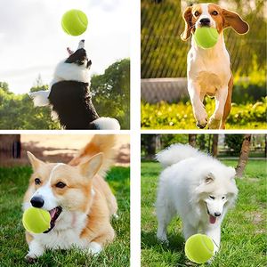 Offre Spéciale – Balles de Tennis Écologiques Personnalisables pour Chiens et Animaux de Compagnie – Balles à Mâcher Durables en Caoutchouc – Bola de Tenis para Mascotas – Idéales pour Cadeaux Promotionnels et Jouets pour Animaux - Product Image 6