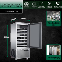 Congelador de -40 grados para carne y dumplings, congelador de aire, gabinete refrigerado para alimentos congelados, refrigerador para almacenamiento de mariscos