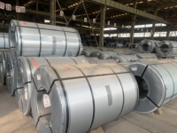 Bobine d'acier prélaqué Baosteel certifiée BIS, jaune zinc RAL1017 S350gd HDP 0,5 mm-1,0 mm, pleine dureté