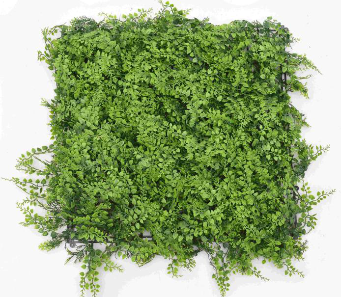 WHDY-2/1 50 cm * 50 cm