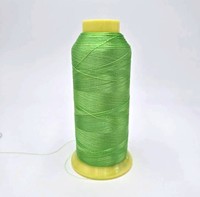 AUDIS Çevre Dostu %100 Polyester Filament Merserize Yüksek Dayanımlı Nakış İpliği 108D Makine Nakışı Tığ İşi Dikişi için
