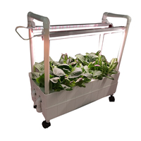 Planteur de légumes intelligent pour plantes hydroponiques, cadre de culture, stylé, Simple, avec couches réglables, nouveau,