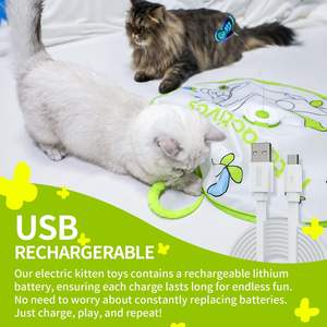 3-en-1 Automatique Flutter Bug <span class=keywords><strong>Cache</strong></span>-<span class=keywords><strong>cache</strong></span> Intérieur Pet Toy Indoor Kitties Cat Wand Toy Interactive Butterfly Teaser Box - Product Image 5