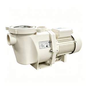 Pentair Style High Flow Pool Pump 110V220V Swimming Pool Filtration Suction Pump 24hours Running - Product Image 1
