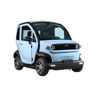 Voiture électrique miniature EEC à énergie nouvelle pour adultes, 3000 W, 72 V, batterie au lithium 50/100 Ah, 12 pouces, avec 4 roues