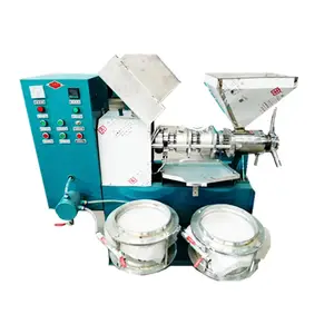 Small cooking palm fruit vegetable sunflower palm coconut oil press machine with oil filter