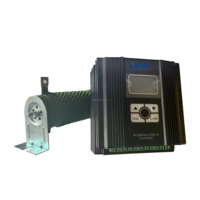 Contrôleur d'éolienne MPPT 12V 24V 36V 48V Auto 96V Adapt Solar Panel Charger Regulator 30a 40a 60a 80a 100a Amp MPPT Charge C