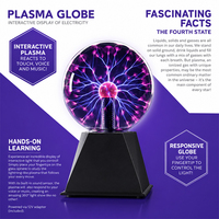 Lampe plasma sphérique festive à réactivité tactile, étiquette personnalisable disponible pour les réunions de famille, les soirées jeux, la décoration de table basse