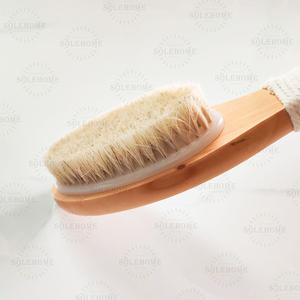 Cepillo para <span class=keywords><strong>baquetas</strong></span> <span class=keywords><strong>de</strong></span> madera <span class=keywords><strong>de</strong></span> loto <span class=keywords><strong>de</strong></span> crin <span class=keywords><strong>de</strong></span> 25cm, mango corto, cepillo para cuerpo seco, herramienta esencial <span class=keywords><strong>de</strong></span> limpieza trasera - Product Image 6