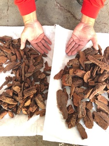 100% Natural Pine Bark Mulch With Cheap Price <b>Wood</b> Chip Natural Home and Garden Decoration for Reptile Bedding - Product Image 2