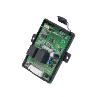 Receptor de Control Remoto de Larga Distancia de 2 Canales, DC 12/24V