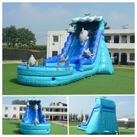 Toboggan aquatique gonflable de qualité commerciale sur le thème des dauphins, avec piscine à jets d'eau, idéal pour les entreprises de location de matériel de fête