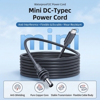Câble de charge Starlink Mini OD5.0 100W en cuivre étamé USB C vers DC pour StarLink Space-X Mini, étanche 18AWG