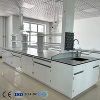 Table murale de laboratoire, 2 pièces, meuble de laboratoire chimique, établi de travail