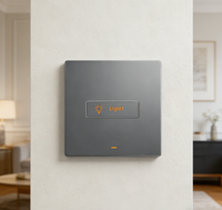 Interrupteur intelligent Premium L10R WiFi Zigbee, interrupteur mural, normes US, UK, EU, interrupteur intelligent de luxe pour maison intelligente