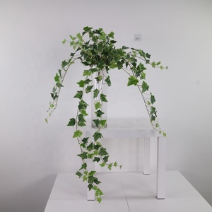 Vigne suspendue en lierre miniature multicolore <span class=keywords><strong>de</strong></span> 110 cm <span class=keywords><strong>de</strong></span> long, <span class=keywords><strong>brin</strong></span> décoratif avec des feuilles colorées pour une décoration murale délicate - Product Image 3