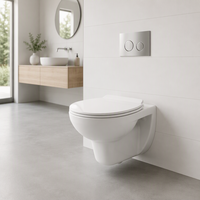 WC monobloc en céramique de style occidental à chasse directe, prix abordable, articles sanitaires pour salle de bain