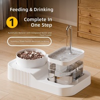 Fontaine à eau automatique pour chat et distributeur de nourriture pour animaux de compagnie avec bols en céramique, alimentation USB, séparation eau-électricité pour chiens et chats