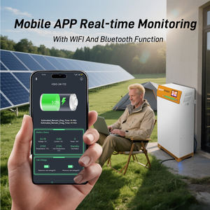 Batería de Litio Powerwall 15kWh 16kWh 48V 51.2V 200Ah 300Ah, Buen Precio, Almacenamiento de Energía para el Hogar, Batería de Litio Ferrofosfato - Product Image 3