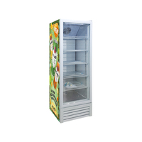 Réfrigérateur commercial à porte vitrée mince Meisda SC235 à refroidissement direct pour supermarchés