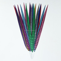 Plumes Longues de Faisan Lady Amherst Artificielles Teintes en Gros pour Décorations de Carnaval, Festival et Samba