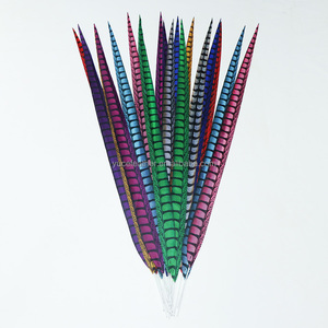 Wholesale Dyed Artificial Lady Amherst Pheasant Long Feathers for Carnival Costume <strong>Festival</strong> Samba <strong>Decorations</strong> - Product Image 4