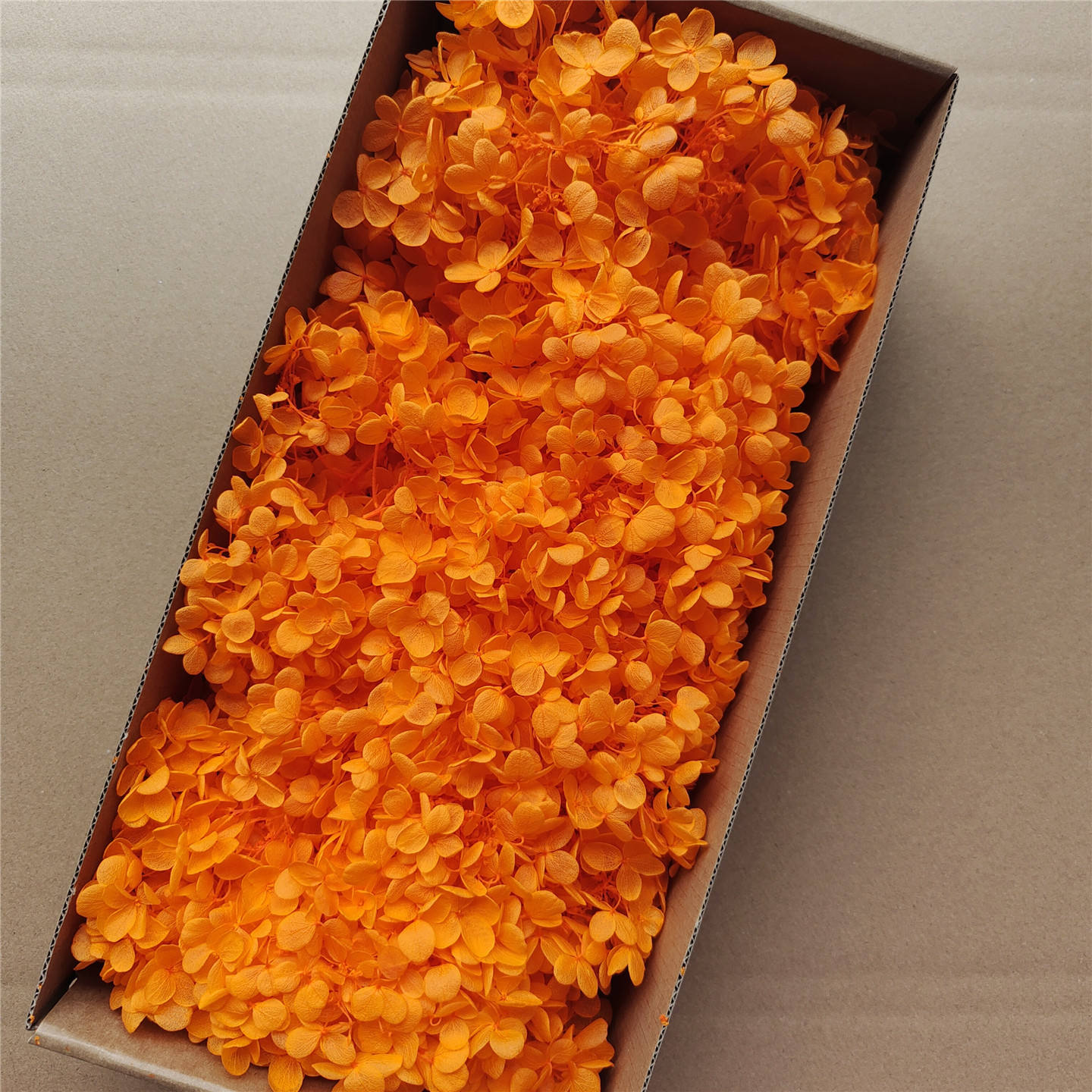 Orange wood hydrangea-90-100g per box