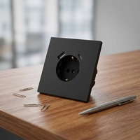 Prise murale USB-C Schuko allemande avec double ports USB Type C, résistante aux manipulations, SDK Network