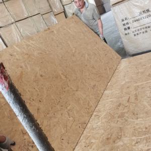 Fournisseurs Osb3mm 6mm 12mm Planches Panneau pas cher Prix Tablero <span class=keywords><strong>Osb</strong></span> en bois - Product Image 2