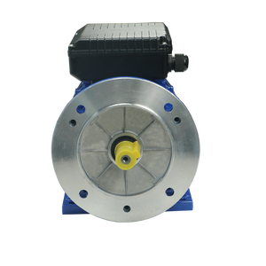 Motor de Inducción de CA de la Serie ML, 110v 220v 50hz 60hz 1450rpm, 1.5kw 2hp 15hp, Monofásico - Product Image 6