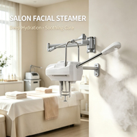 Vaporisateur facial mural professionnel pour salon, ozone, vapeur chaude, soin de la peau, équipement de beauté spa