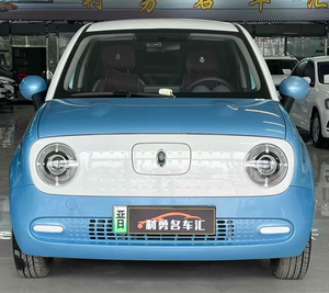 Modèle 2021 Great Wall Ora Black Cat, 100% électrique, autonomie de 301 km, voiture d'occasion haut de gamme à prix bas - Product Image 1