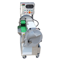 Automatische dubbelkopige groente- en fruitsnijmachine Multifunctionele snijmachine/versnipperaar Roestvrij staal Verstelbaar gemotoriseerd