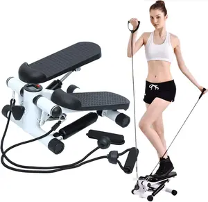 Fitness Stepper Swing Stepper Mini Stepper with Training Computer and Large Treads Exercise Bike for Abdomen Legs Butt Training