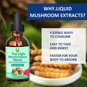Hot Selling Multi Mushrooms Liquid Drops With Ganoderma Lucidum Extract Suitable for Adults Support Immune System Liquid Drinks - Product Image 5