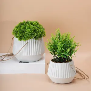 Wholesale Beautiful Attractive Ceramic Garden Decor Flower Pot With Plants Inside For House Decoration