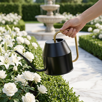 Arrosoir moderne en métal noir avec poignée en laiton métal doré arrosoir pour jardin intérieur jardinage extérieur fournitures d'eau