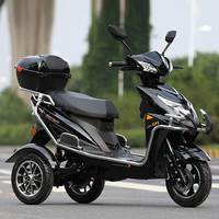Wholesale High Speed Electric Bike Motorcycle 1000W 60V Off-Road Scooter Moped Tricycle 30KM/H 200-300kg Payload