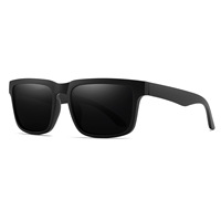 Nouvelles Lunettes de Soleil Polarisées à Monture Intégrale et Revêtement Coloré pour le Cyclisme et les Activités de Plein Air, Modèle 2026