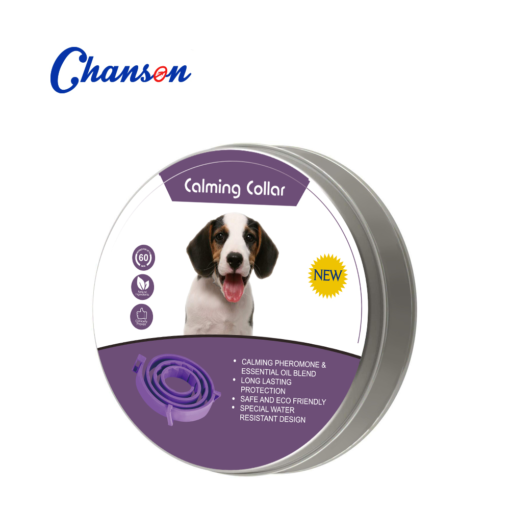 Chien violet