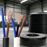 Câble électrique basse tension ZC-RVV ignifuge, âme en cuivre pur, souple, isolé en PVC, multibrins, pour construction aérienne