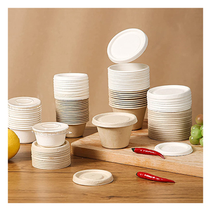 Sugarcane Bagasse Lunch Box paper Lunch Box Making Machine Sugarcane Bagasse Take Away