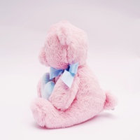 NOUVEAU Ours en peluche personnalisé pour la Saint-Valentin, cadeau d'anniversaire, ours en peluche avec cœur, jouet en peluche multicolore
