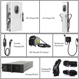 20kw 30kw 40kw 1000v GBT IEC CCS Working Efficiency 96%AC To DC Fast Charging Power Module Ev Charger Dc Power Module