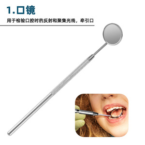 Stainless Steel Dental Tool <b>Set</b> (6 Pieces): Plaque Remover, Probe, Hook, Tartar Cleaner, Pet Dental Clinic - Product Image 5
