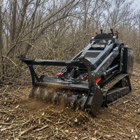 Mini-chargeuse compacte diesel sur chenilles pour l'agriculture et le jardin, livraison gratuite, en stock