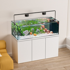 Acuario Rectangular Grande con Marco Metálico y Alta Transparencia para Exhibición en Sala de Exposiciones - Product Image 2