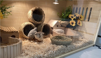 Lit pour animaux de compagnie IVETRON Rudin en bois écologique, respirant et doux, pour petits animaux, élevage de poulets, ours en peluche/lézard/sanglier hollandais/caille
