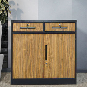 Best Quality 2-Drawer Swing Door Metal File Cabinet <b>Small</b> Half-Height with Adjustable Shelf Office Furniture Storage - Product Image 2